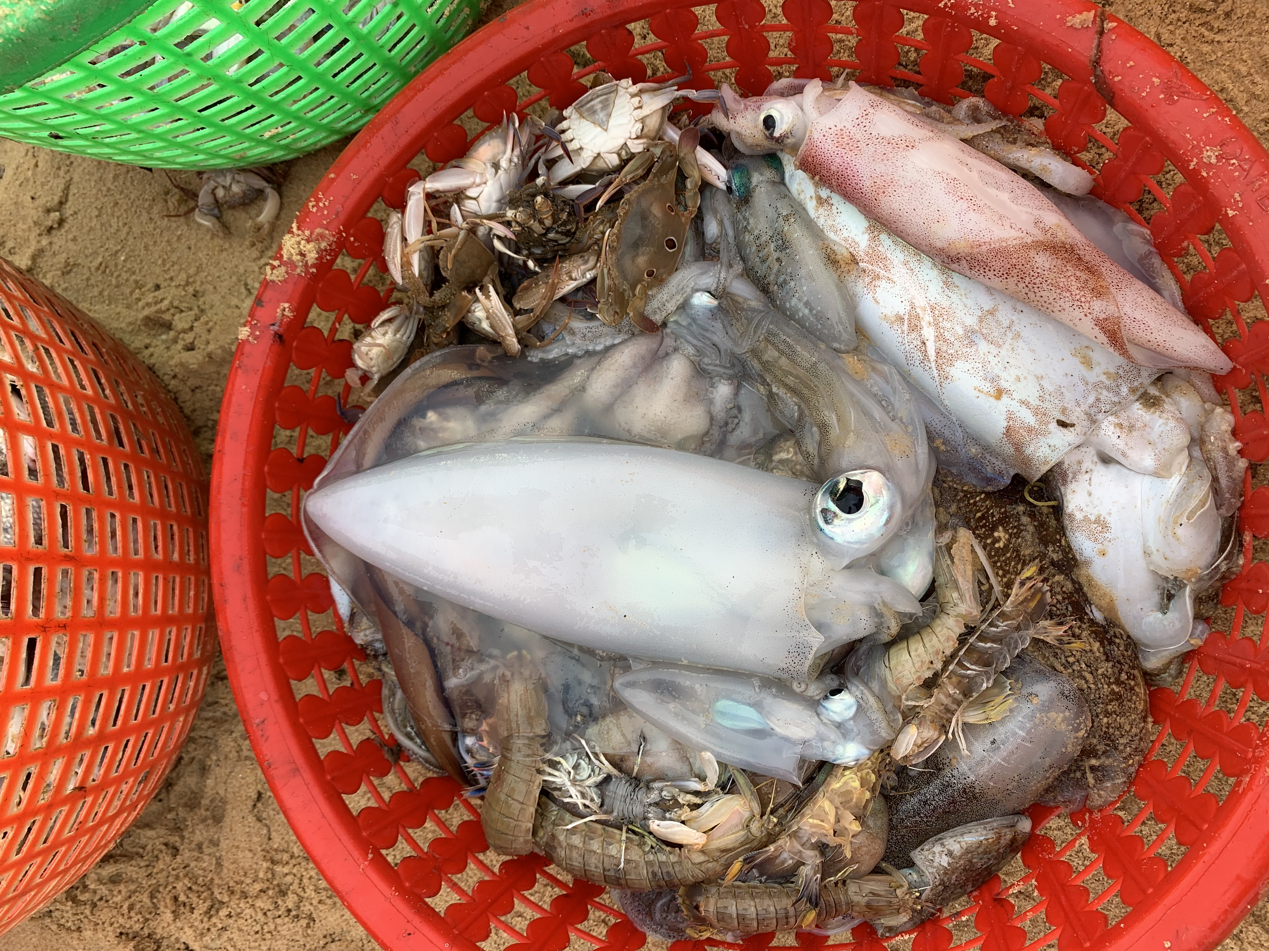Chợ dân sinh dân làng